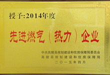 2014年度先進(jìn)燃氣企業(yè)